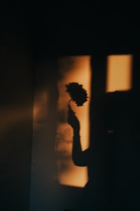 A silhouette of a person holding a flower against a warm orange wall